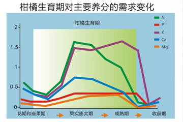 柑橘生育期对镁的需求变化